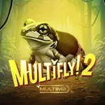 MultiFly! 2 MultiMax